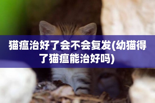 貓瘟治好了會不會復發(幼貓得了貓瘟能治好嗎) 