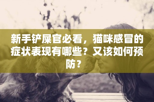 新手鏟屎官必看，貓咪感冒的癥狀表現有哪些？又該如何預防？ 