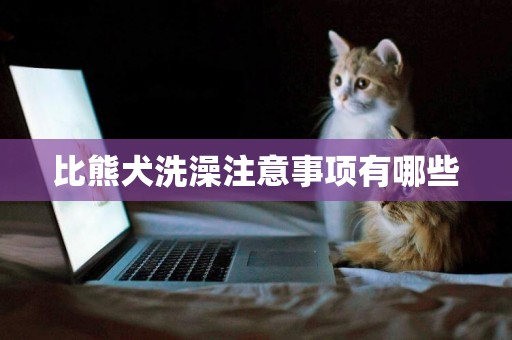 比熊犬洗澡注意事項有哪些