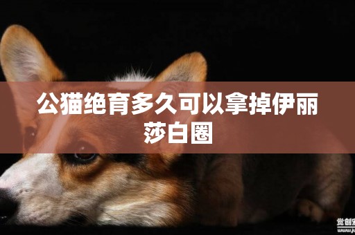 公貓絕育多久可以拿掉伊麗莎白圈
