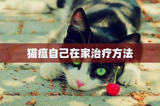 貓瘟自己在家治療方法