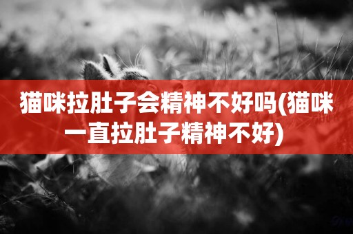 貓咪拉肚子會精神不好嗎(貓咪一直拉肚子精神不好) 