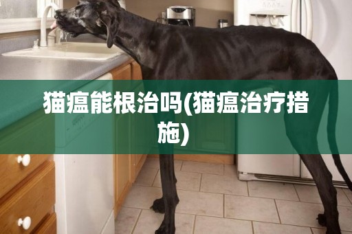 貓瘟能根治嗎(貓瘟治療措施) 
