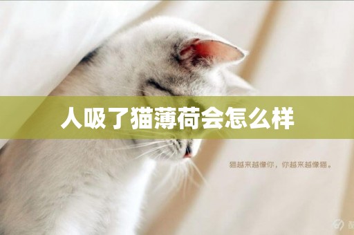人吸了貓薄荷會怎么樣