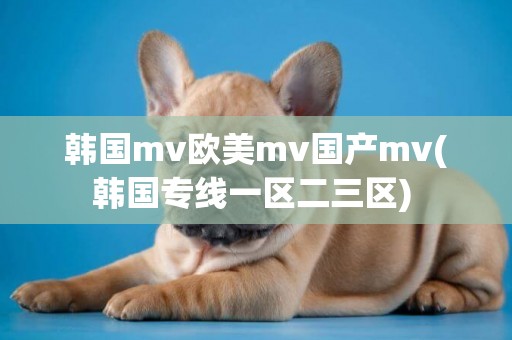 韓國mv歐美mv國產mv(韓國專線一區二三區) 