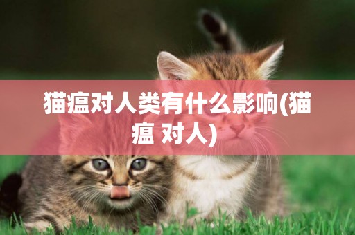 貓瘟對人類有什么影響(貓瘟 對人) 