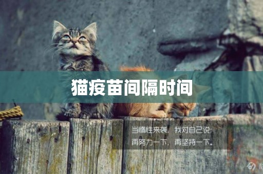 貓疫苗間隔時間