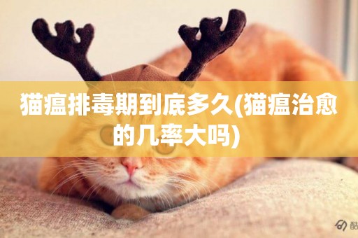 貓瘟排毒期到底多久(貓瘟治愈的幾率大嗎) 