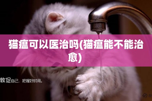 貓瘟可以醫治嗎(貓瘟能不能治愈) 