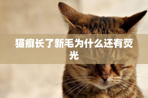 貓癬長了新毛為什么還有熒光