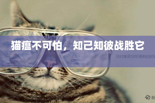 貓瘟不可怕，知己知彼戰勝它 