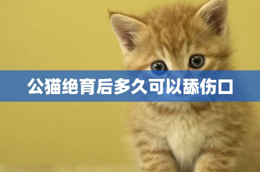 公貓絕育后多久可以舔傷口