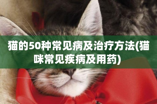貓的50種常見病及治療方法(貓咪常見疾病及用藥) 