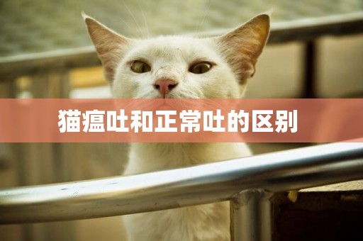 貓瘟吐和正常吐的區別 