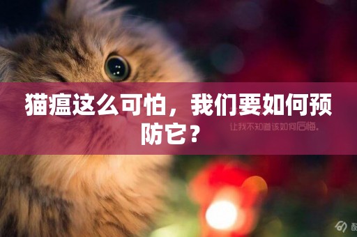 貓瘟這么可怕，我們要如何預防它？ 