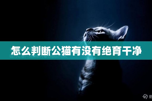 怎么判斷公貓有沒有絕育干凈