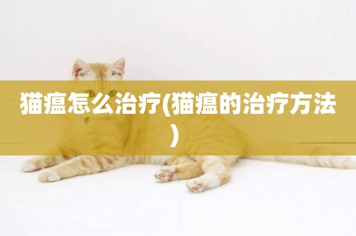 貓瘟怎么治療(貓瘟的治療方法) 