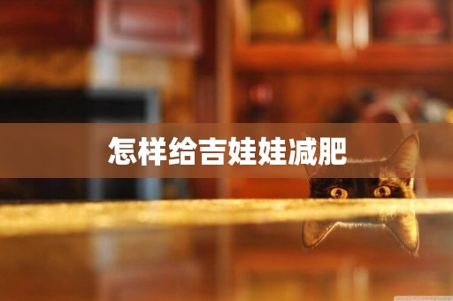 怎樣給吉娃娃減肥