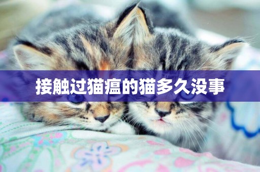 接觸過貓瘟的貓多久沒事