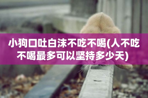小狗口吐白沫不吃不喝(人不吃不喝最多可以堅持多少天) 