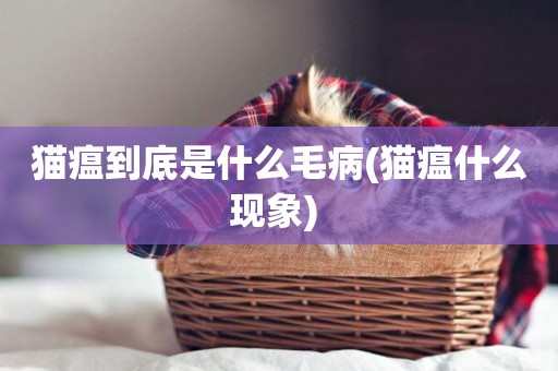 貓瘟到底是什么毛病(貓瘟什么現象) 