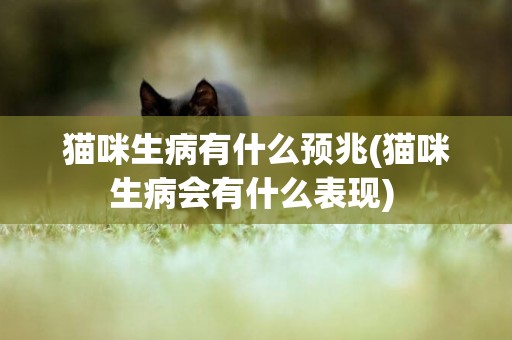 貓咪生病有什么預兆(貓咪生病會有什么表現) 
