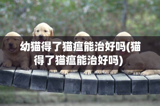 幼貓得了貓瘟能治好嗎(貓得了貓瘟能治好嗎) 