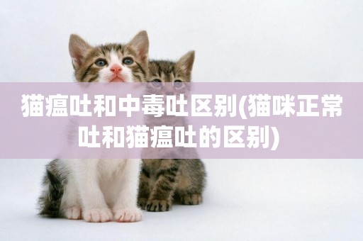 貓瘟吐和中毒吐區別(貓咪正常吐和貓瘟吐的區別) 