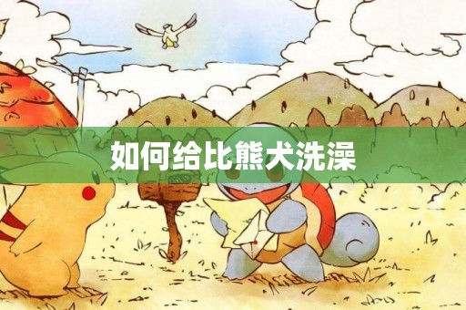 如何給比熊犬洗澡