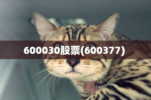 600030股票(600377) 
