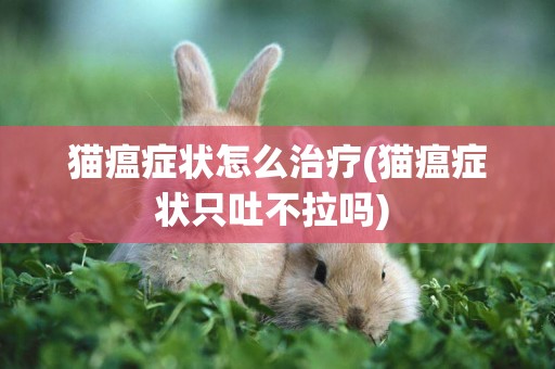 貓瘟癥狀怎么治療(貓瘟癥狀只吐不拉嗎) 