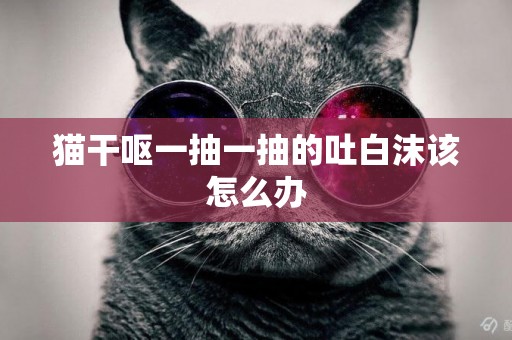 貓干嘔一抽一抽的吐白沫該怎么辦