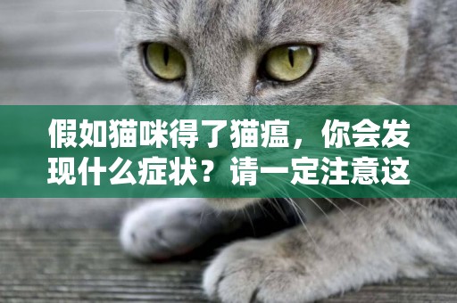 假如貓咪得了貓瘟，你會發現什么癥狀？請一定注意這個春季殺手 
