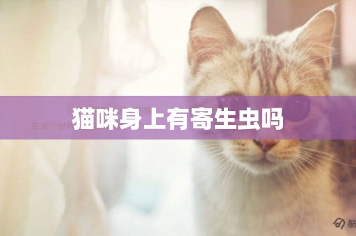 貓咪身上有寄生蟲嗎