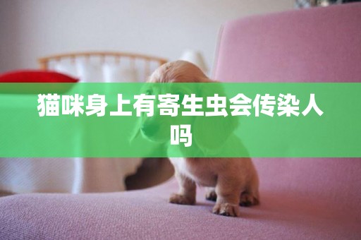 貓咪身上有寄生蟲會傳染人嗎