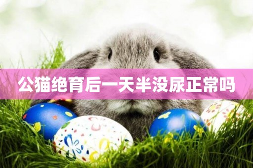 公貓絕育后一天半沒尿正常嗎