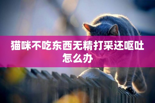 貓咪不吃東西無精打采還嘔吐怎么辦