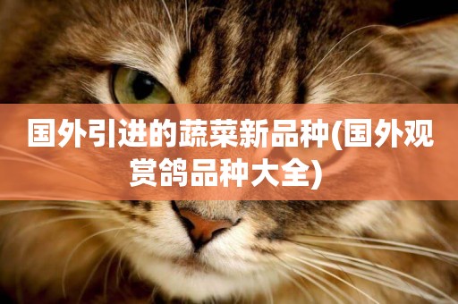 國外引進的蔬菜新品種(國外觀賞鴿品種大全) 