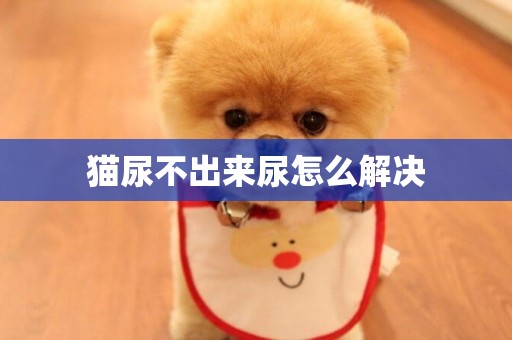 貓尿不出來尿怎么解決