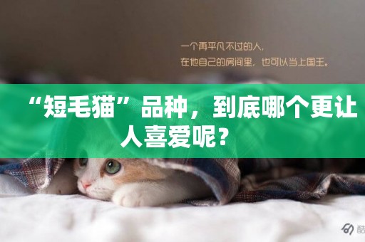 “短毛貓”品種，到底哪個更讓人喜愛呢？ 