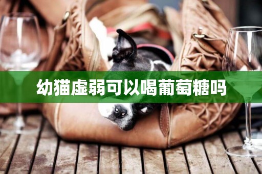 幼貓虛弱可以喝葡萄糖嗎