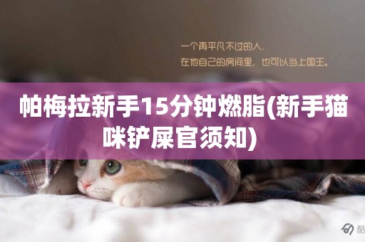 帕梅拉新手15分鐘燃脂(新手貓咪鏟屎官須知) 