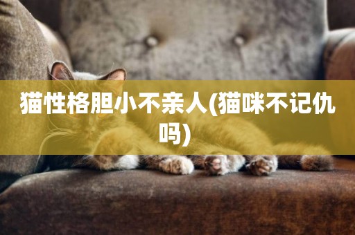 貓性格膽小不親人(貓咪不記仇嗎) 