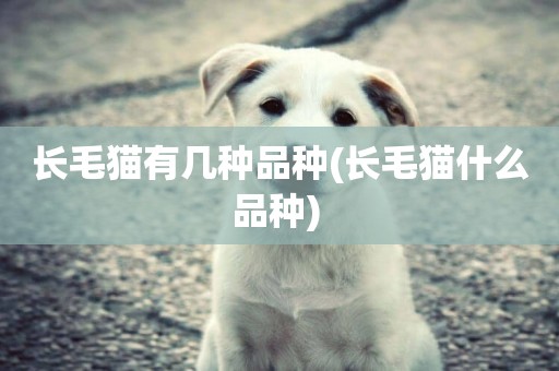 長毛貓有幾種品種(長毛貓什么品種) 