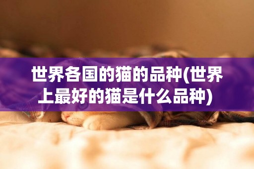 世界各國的貓的品種(世界上最好的貓是什么品種) 