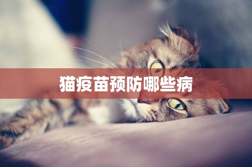 貓疫苗預防哪些病