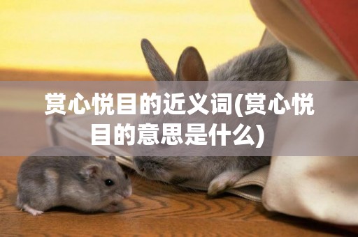 賞心悅目的近義詞(賞心悅目的意思是什么) 