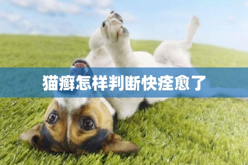 貓癬怎樣判斷快痊愈了