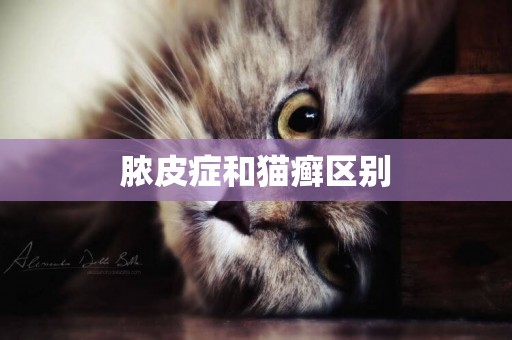 膿皮癥和貓癬區別
