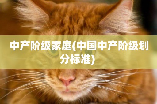 中產階級家庭(中國中產階級劃分標準) 
